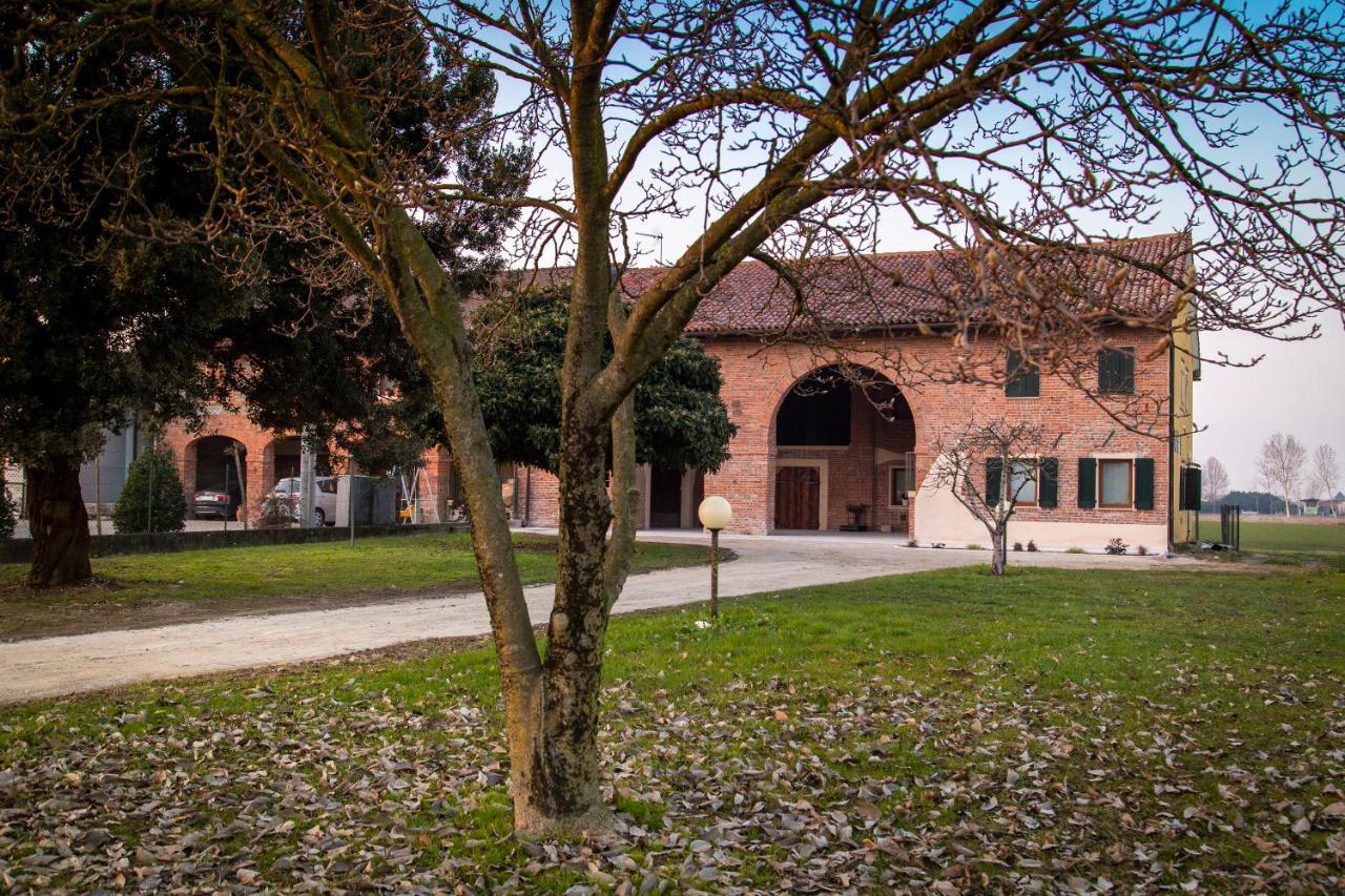 Casa Norma Piano Terra Βίλα San Martino di Lupari Εξωτερικό φωτογραφία